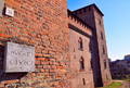 Musei